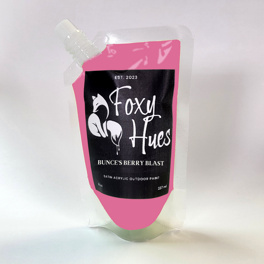 Pink paint pouch with 'Foxy Hues' branding on a white background